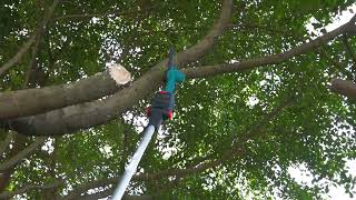 ZNP 一台两役 高枝切り電動チェーンソー