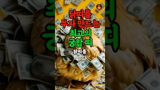 닭띠 재물운 최강 궁합 띠 #띠별운세 #재물운 #풍수