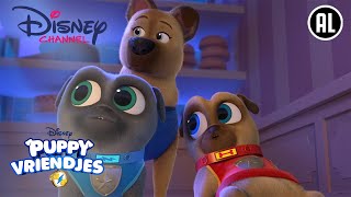 Puppy Vriendjes | De Zaak van de Verdwenen Badge | Disney Channel NL