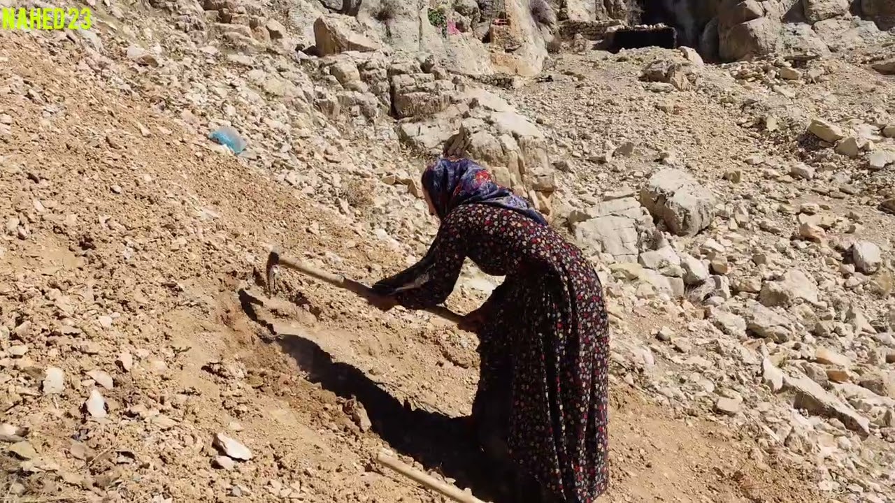 ۲۸ فوریهٔ ۲۰۲۶