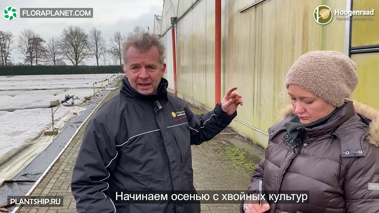 HOOGENRAAD🇳🇱 ПРО ГРАНДИОЗНОЕ ХОЗЯЙСТВО УСПЕШНОГО ПИТОМНИКА И ДИНАСТИЮ ВЛАДЕЛЬЦЕВ