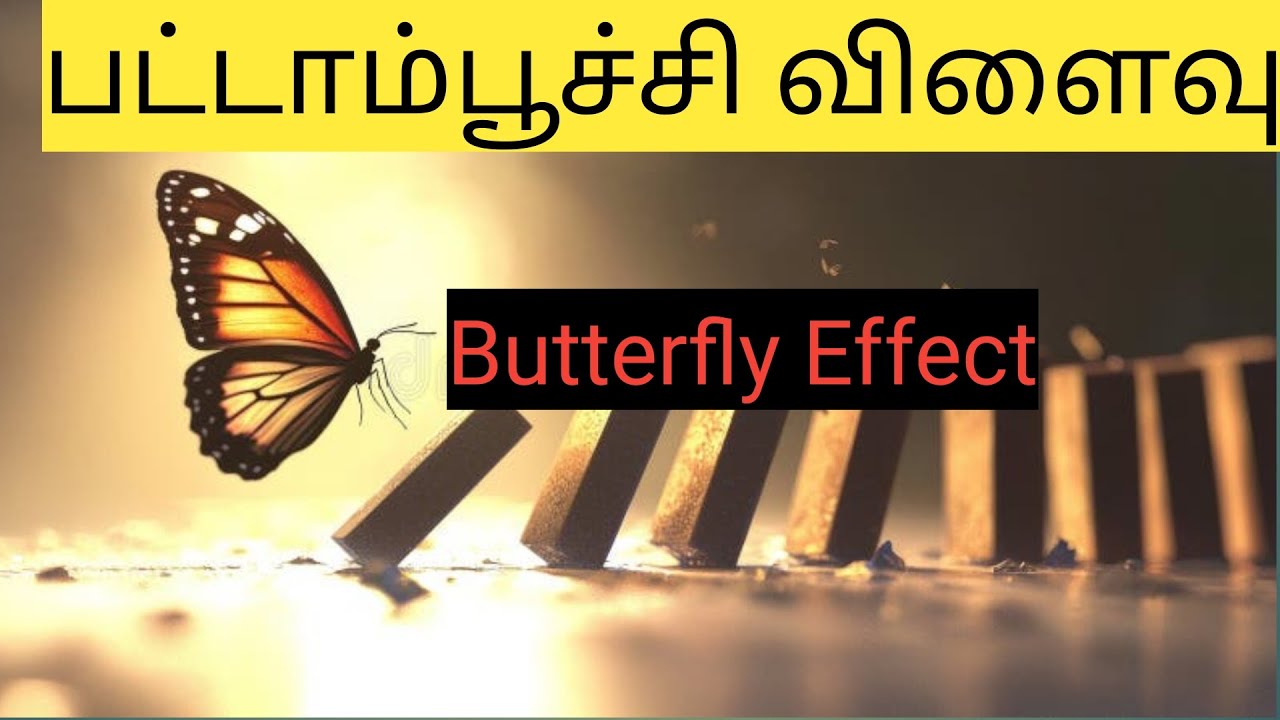 Butterfly Effect