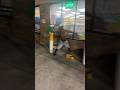 Thief gets beaten after trying to steal from shop