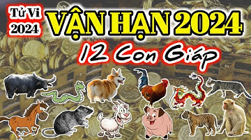 Vận Hạn 2024 | Tử Vi 2024 của 12 con giáp - Năm Giáp Thìn 2024 @Luangiai12congiap
