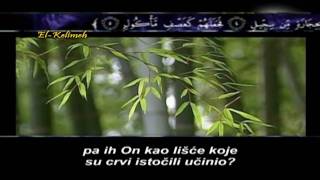 Sura Fil sa prijevodom na bosanski jezik