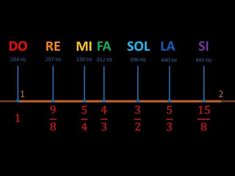 Video: Cosa Sono Le Note?