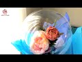 🎈COMO HACER ✂️ UN BOUQUET CON ROSAS DENTRO DEL GLOBO CRISTAL💐 Sabor de Fiesta