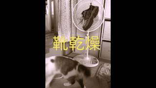 靴乾燥中