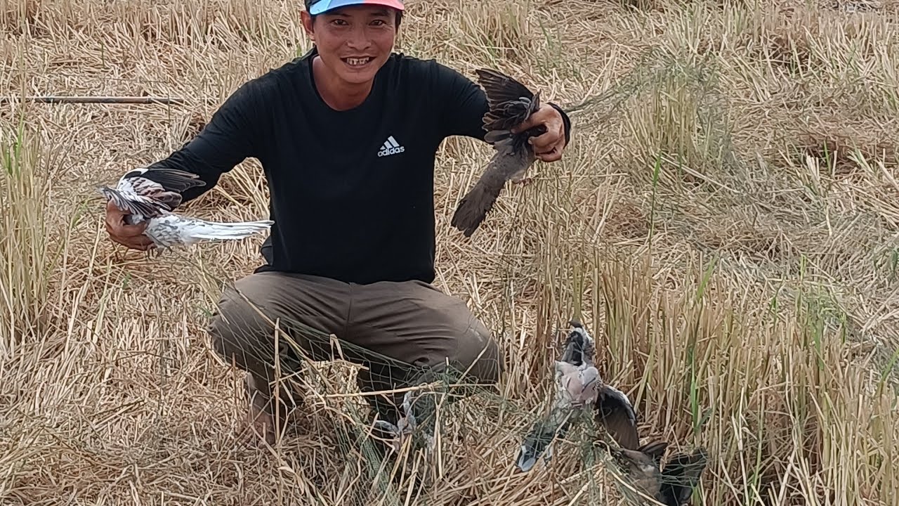 Trúng mánh bầy cu đất quá dạng