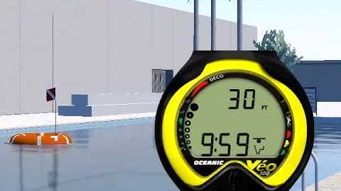 Oceanic Veo 100 Post Dive