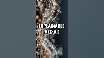 Explainable AI (XAI)