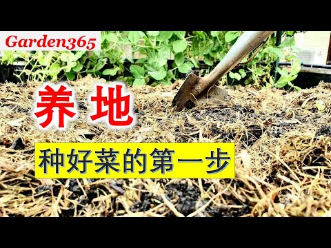 【养地】怎样养地？养地的重要性！How to make soil fertile