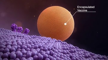 How do  mRNA COVID 19 Vaccines work  mRNA Vaccines Explained in 3D Animation