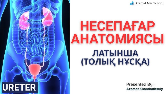 Несепағар арқылы мүшені жұлып алу видеосы Несепағар арқылы мүшені жұлып алу видеосы