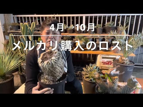 4 [Final Results of Cut Rostrata] April to October - YouTube