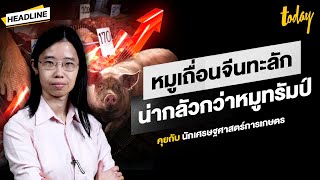 เข้าใจปรากฎการณ์ 'หมูแพง-หมูเถื่อน-หมูทรัมป์' จับตา 'หมูนำเข้า' ทำลายตลาด | HEADLINE | TODAY