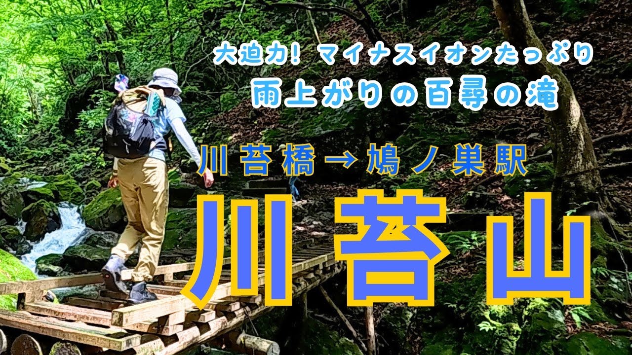 【Vlog.川苔山】雨上がりの百尋の滝の迫力✨奥多摩の大自然に溶け込む日🌳