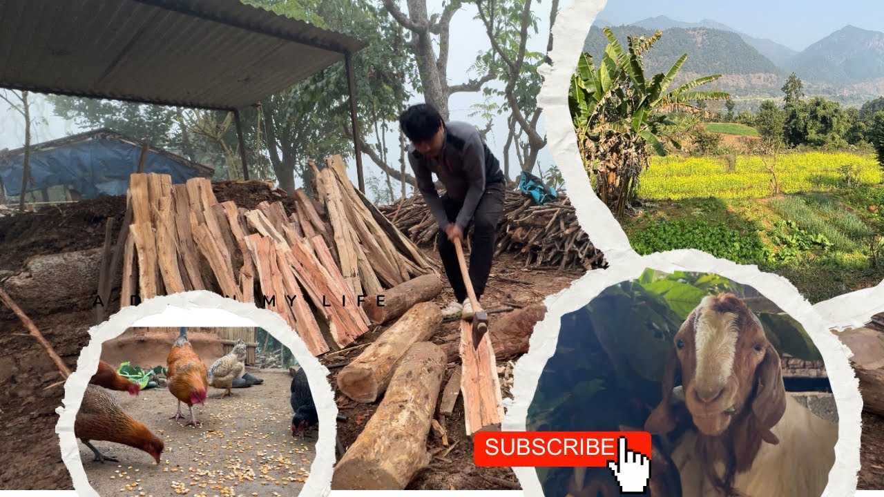 Rural Nepali Lifestyle | Simple & Peaceful Village Life || organic vlog 