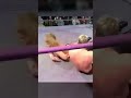 Jon Moxley Vs Nigel McGuinness #shorts #prowrestling