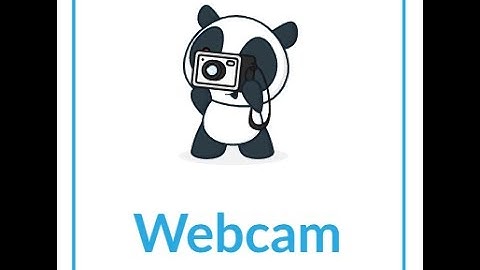 Submitting Canvas HWA   Use Webcam