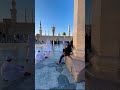 Peaceful vibes at masjid an-nabawi ✨🌙 #love #deeni #islamicarchitecture #beautiful #trending