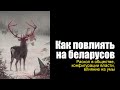 Залезть в голову к беларусам: как брать власть на фоне раскола в обществе