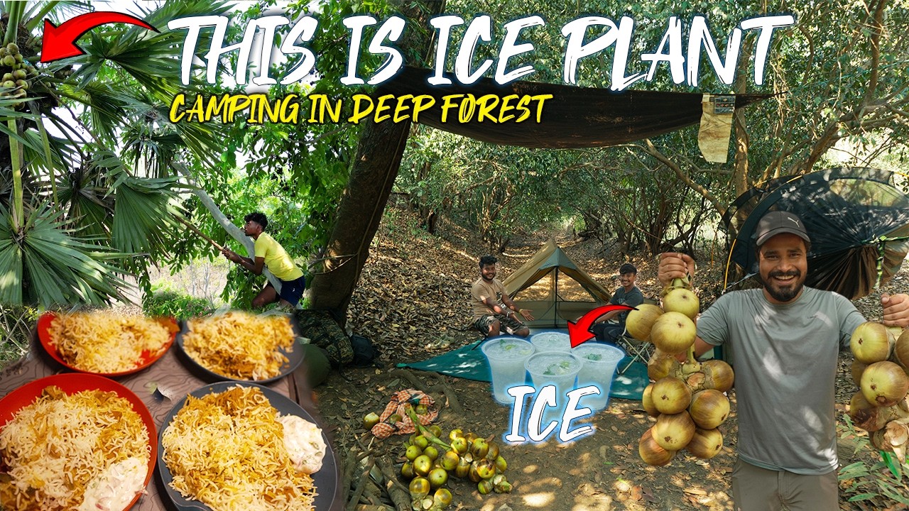 We Climbed a Wild Palm Tree for THIS Rare Fruit... Then Cooked the Ultimate Forest Feast!