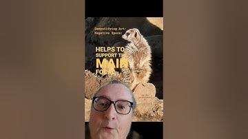 Demystifying Art: Negative Space