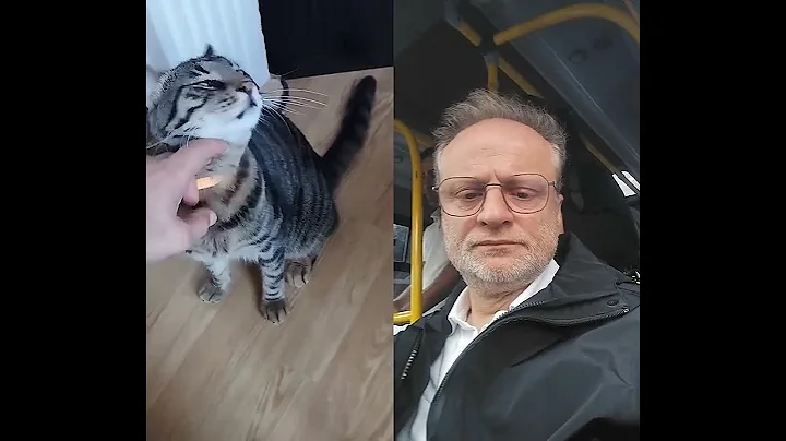 Watch the video about #lovecats #duet #turkishcat #cat #kitten #animals #funny #funnycats #cute #