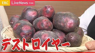 【ほっこり甘い芋】「デストロイヤー」とは！？