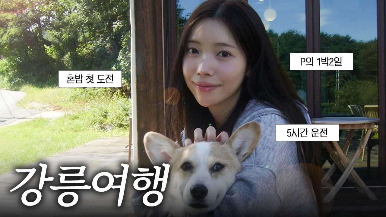 [VLOG] 생애 첫 혼밥 도전해봤어요! 후회 없는 강릉 맛집 (강아지와 떠난 강릉🐶)