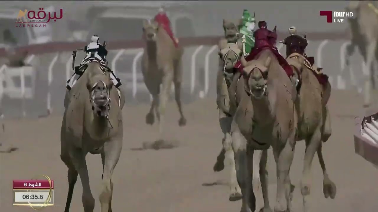 ش6 ساسكو لـ ناصر عبدالله أحمد المسند (ختامي الوثبة 26-4-2024م) خنجر الحيل محليات 12:10:3