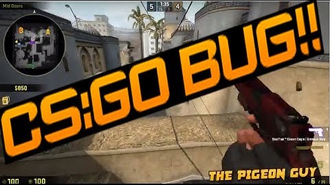 My Favourite CS:GO Bug.