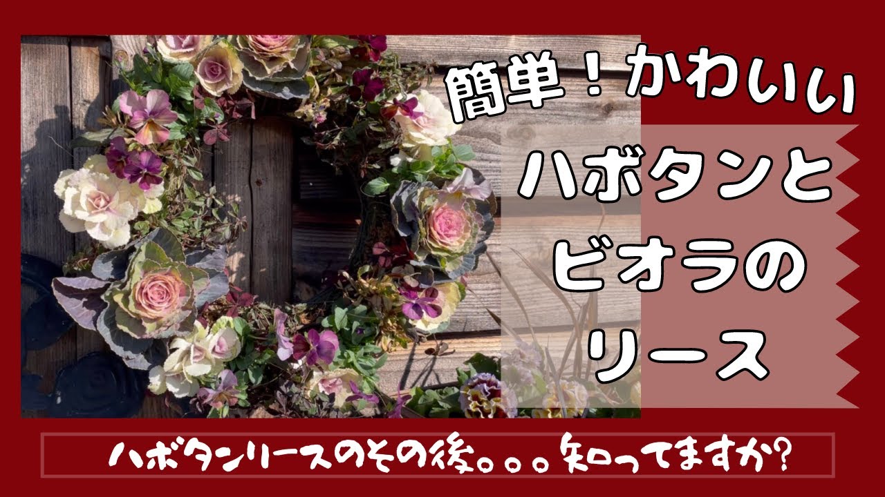 Easy even for beginners if you get the hang of it! Habotan wreath
