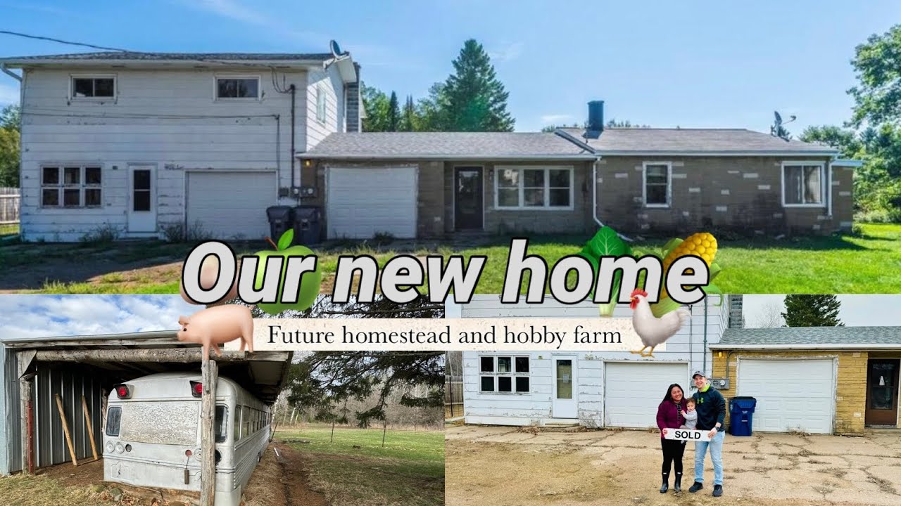 The beginning of our Homestead fixer upper journey! - YouTube