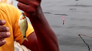 বিলে পুটি মাছ ধরার দারুন টোপ | Puti Mach Dhora | Fishing Baits