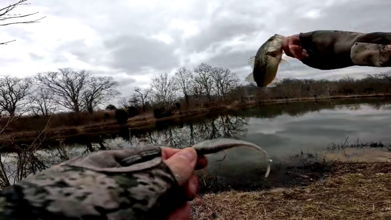 Bass Fishing Local Park Pond!!