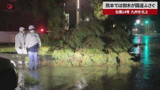 【速報】熊本では倒木が国道ふさぐ 台風14号、九州を北上