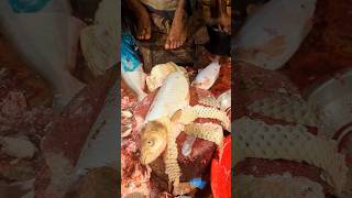 Amazing Ruhu Fish Cutting in Bangladesh Fish Market | Expert Butcher Skill #shorts #fishcutting