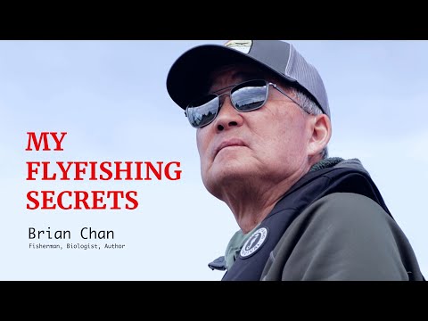 Brian Chans' Fly