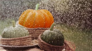 Fall Rain Sounds to Sleep 🌧️ 🎃 Relaxing Storm Ambience at Pumpkin Patch