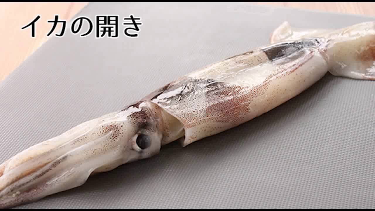 イカの開き方 簡単なさばき方 How To Cut The Squid Youtube