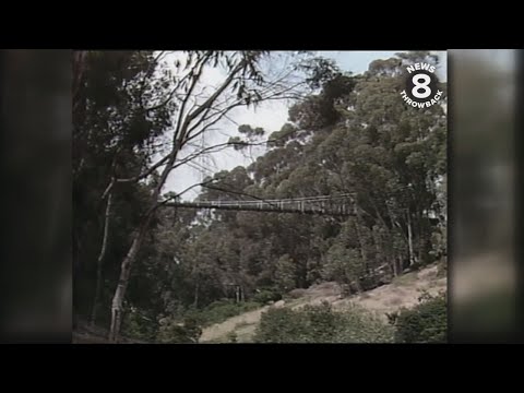 Video: Jembatan Banker's Hill dan Hillcrest di San Diego