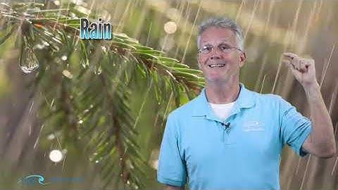 PPGS Lesson 11.7 | Weather: Fog & Precipitation