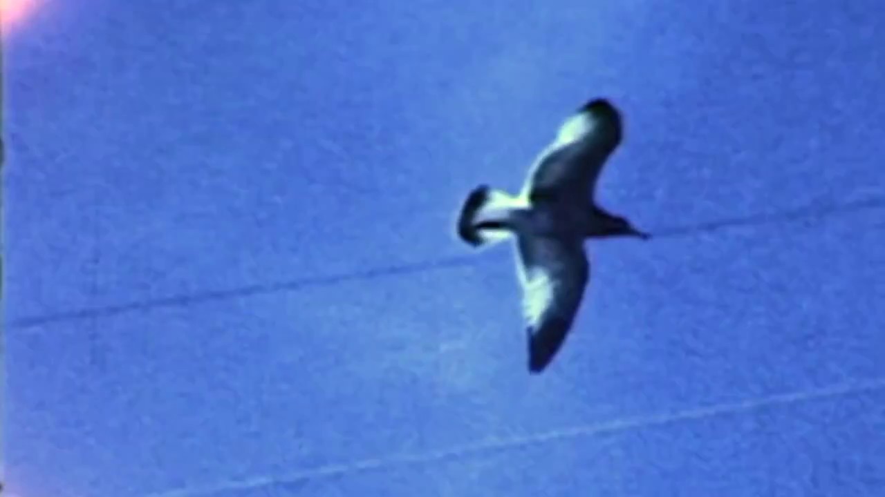 It's Jo and Danny 'In Spite of Love' ft. Daimh, Rudy Carroll and Des.