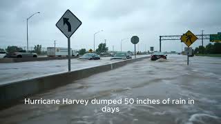 floodaivedio