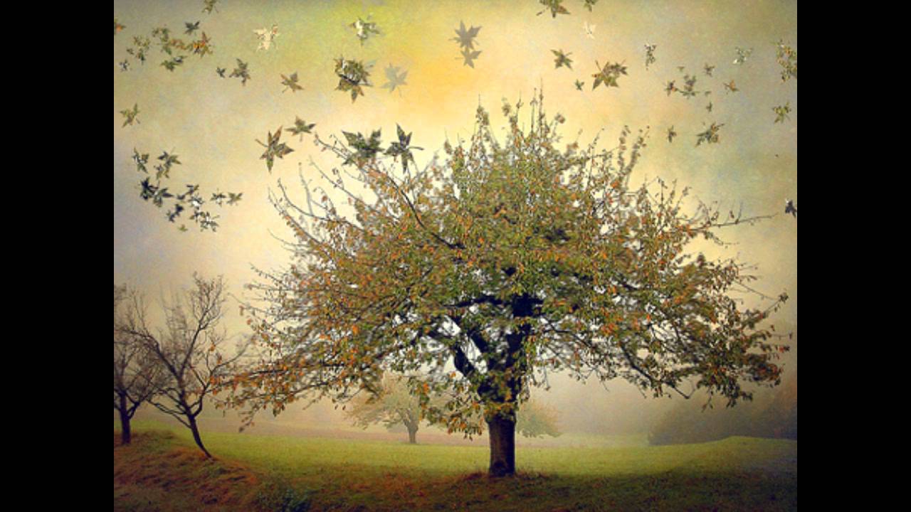 Music for Thinking (Piano song)