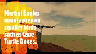 A Martial Eagles Diet Roblox Testing A