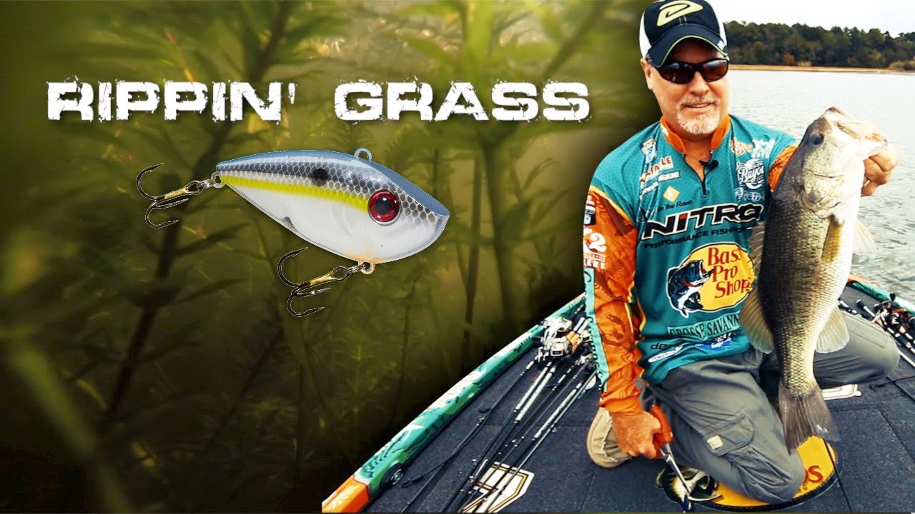 Find and Trigger Grass Bass With Lipless Crankbaits 