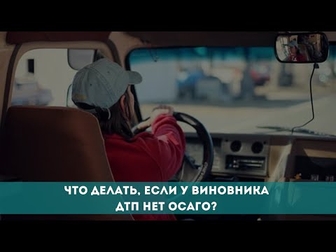 Что делать, если у виновника ДТП нет ОСАГО?